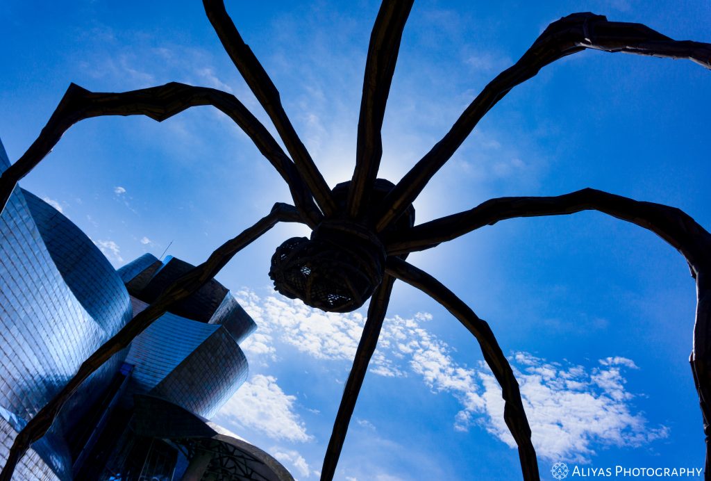 Guggenheim Museum Bilbao Spider Aliyas Photography