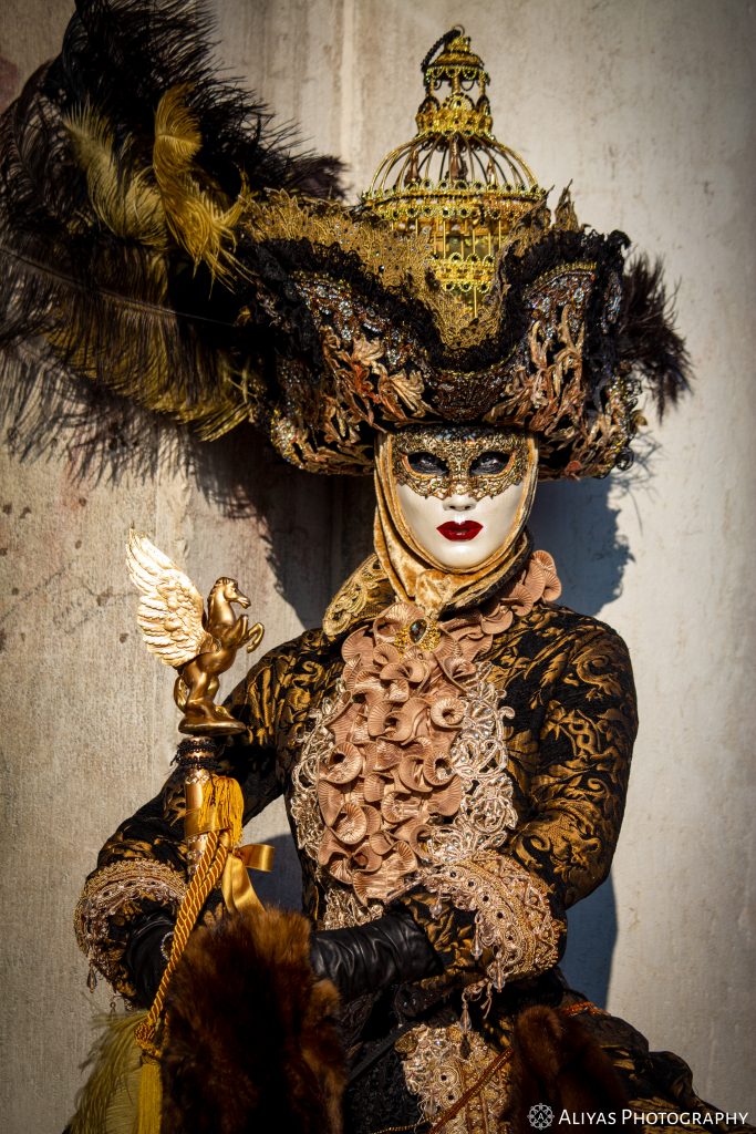 On this picture, you can see a woman wearing an elaborate golden-brown-black costume in the Carnival of Venice 2018. She wears a golden bird cage hat.