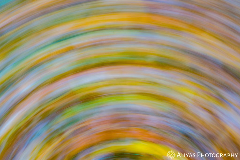 On this picture, you can see the result of intentional camera movement: a blurry, distorted picture of a heap of leaves.The result looks like a multi-colored rainbow.