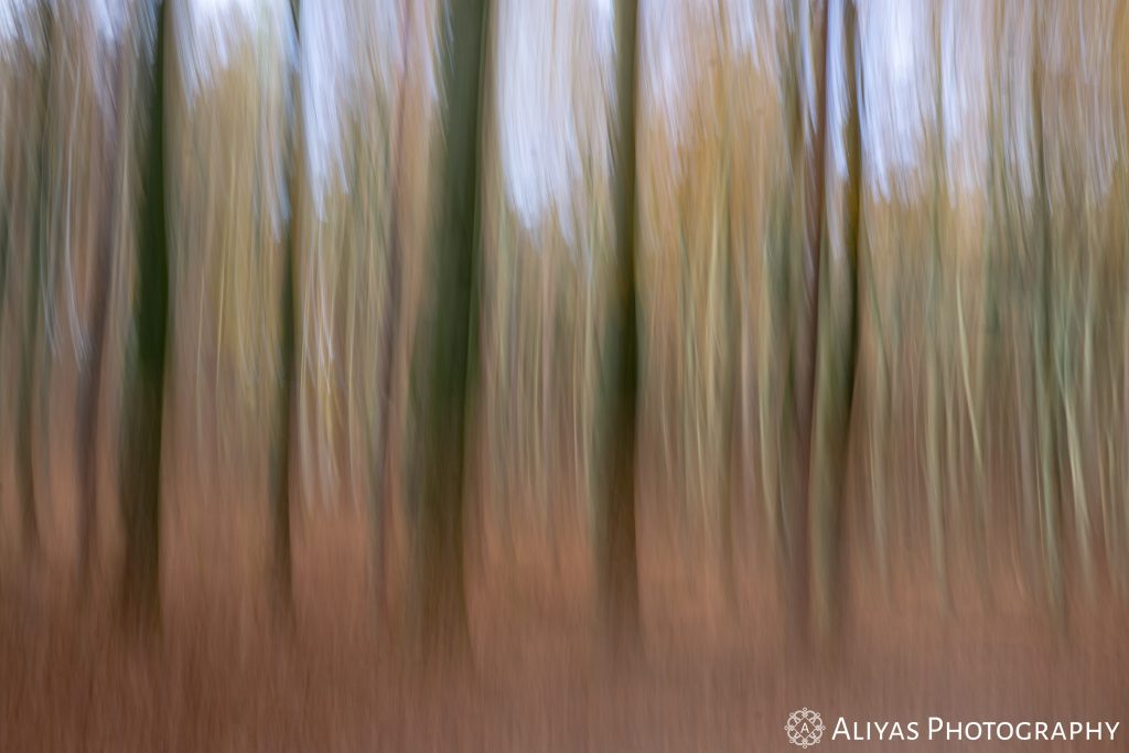 On this picture, you can see the result of intentional camera movement: a blurry, distorted picture of a colorful autumn wood.