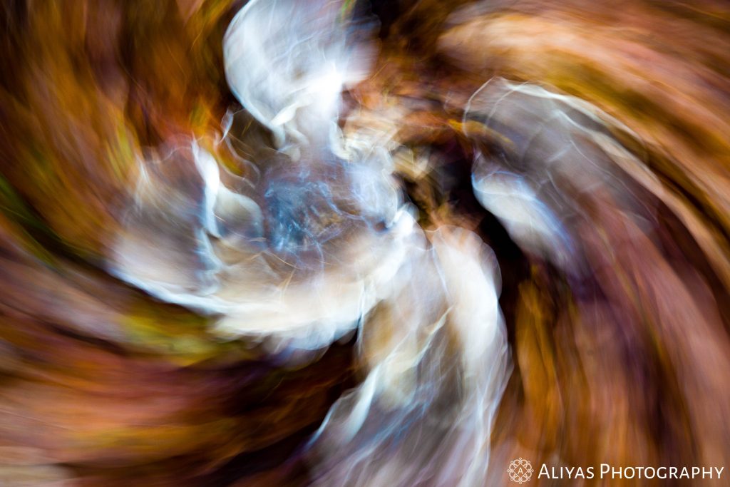 On this picture, you can see the result of intentional camera movement: a blurry, distorted picture of white mushrooms in an autumn forest.